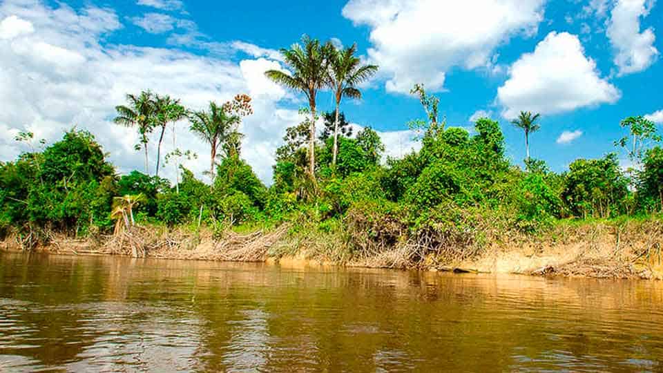 Selva Mágica en Iquitos