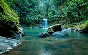 Cataratas de Tarapoto